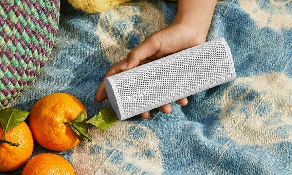 SONOS Portable Speakers Models